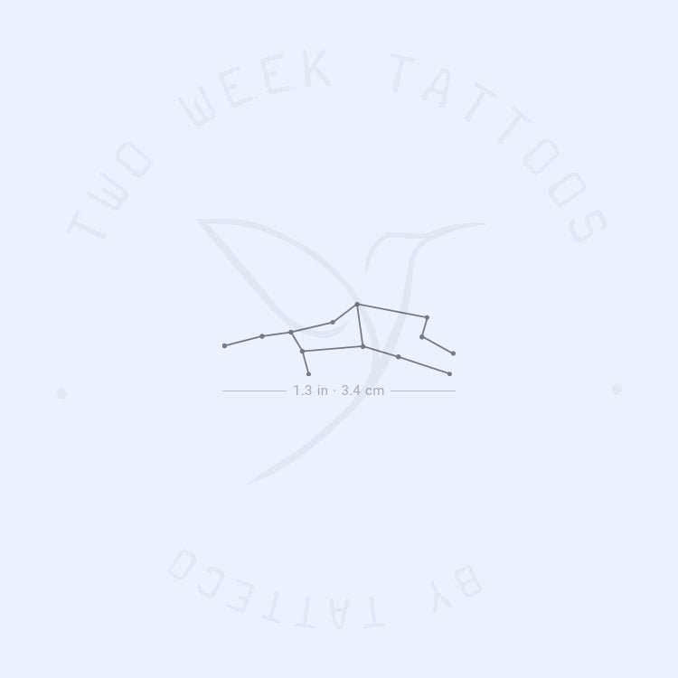 Small Virgo Constellation Semi-Permanent Tattoo - Set of 2