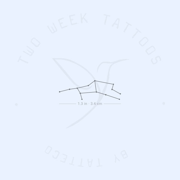 Small Virgo Constellation Semi-Permanent Tattoo - Set of 2