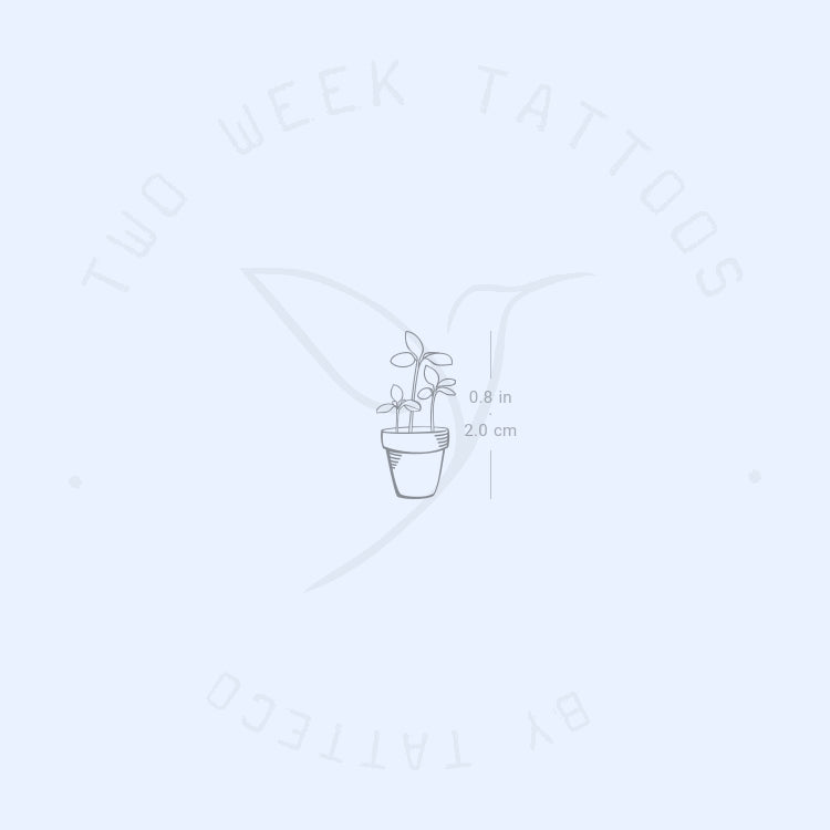 Plant Semi-Permanent Tattoo - Set of 2
