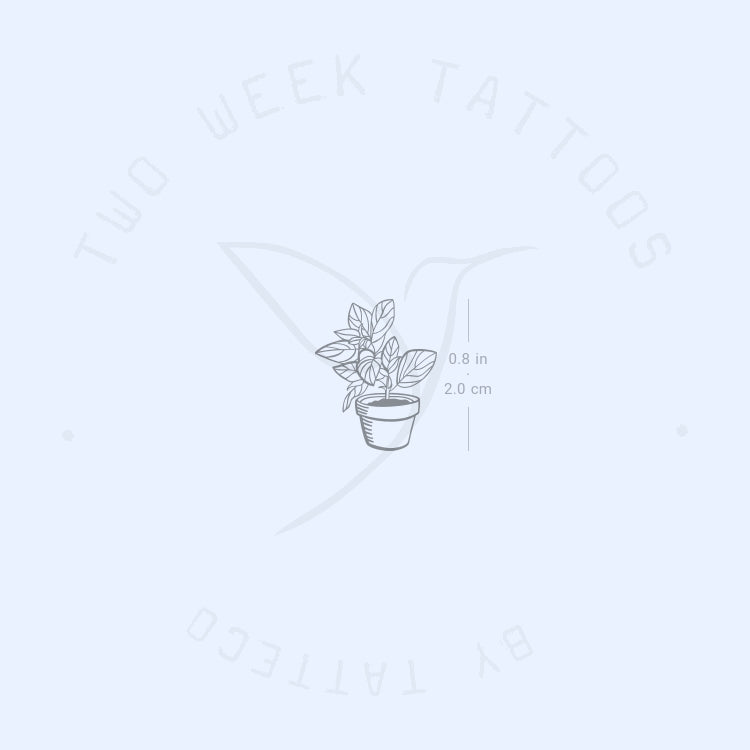 Little Plant Semi-Permanent Tattoo - Set of 2