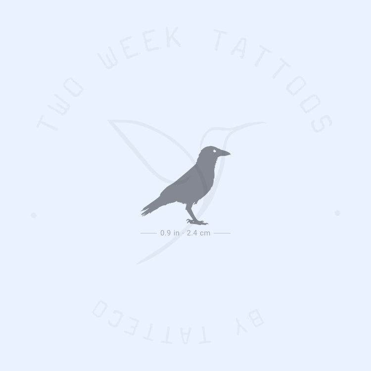 Tatuaje semipermanente de cuervo - Juego de 2