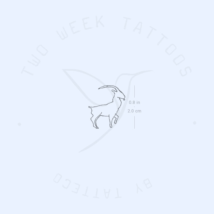 Tatuaje semipermanente de Ibex - Juego de 2