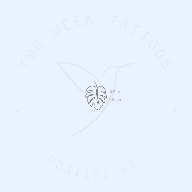 Fine Line Monstera Leaf Semi-Permanent Tattoo - Set of 2