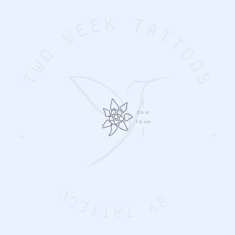 Tatuaje semipermanente de contorno de edelweiss - Juego de 2