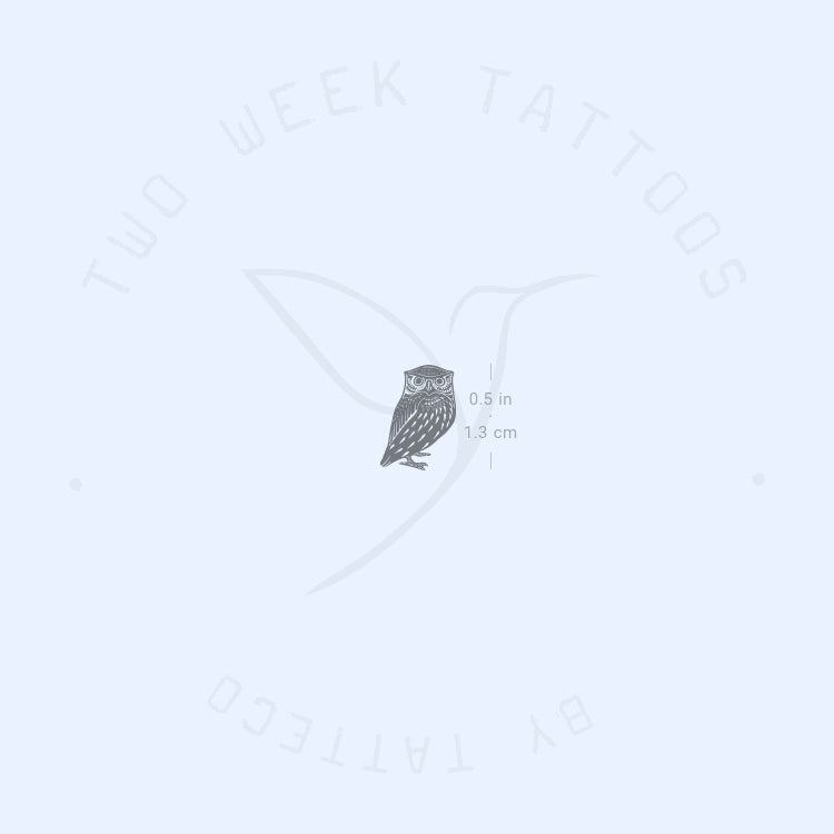 Tiny Owl Semi-Permanent Tattoo - Set of 2