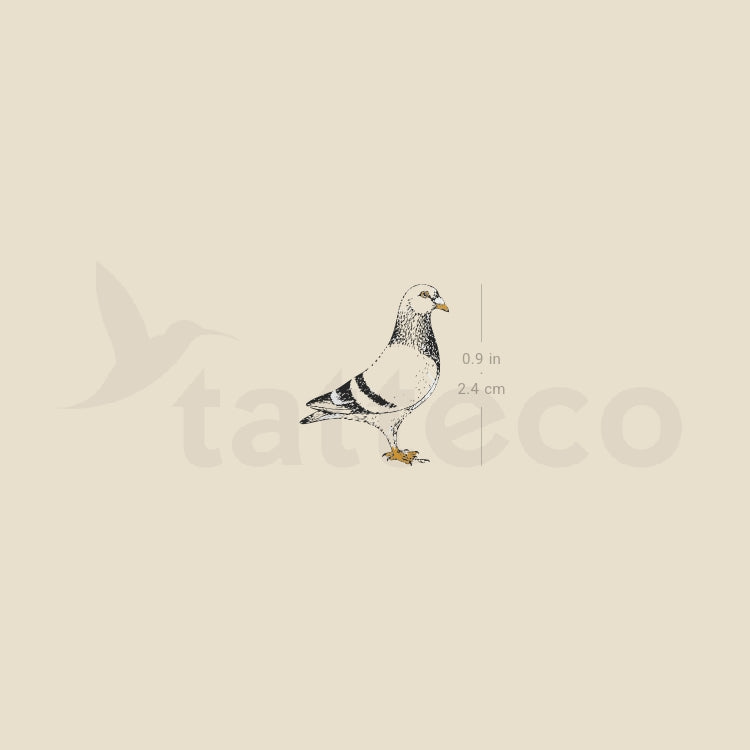 NYC Pigeon Temporary Tattoo - Set of 3