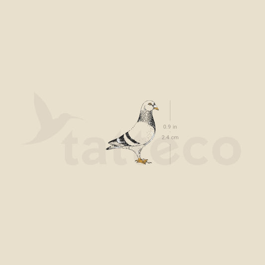 NYC Pigeon Temporary Tattoo - Set of 3