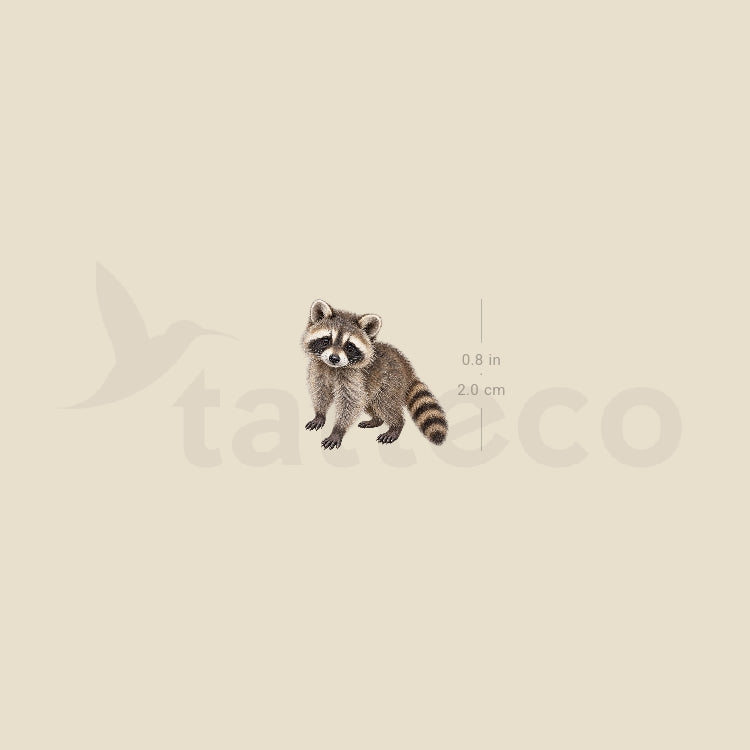 Baby Raccoon Temporary Tattoo - Set of 3