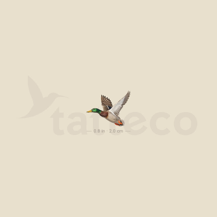 Flying Duck Temporary Tattoo - Set of 3
