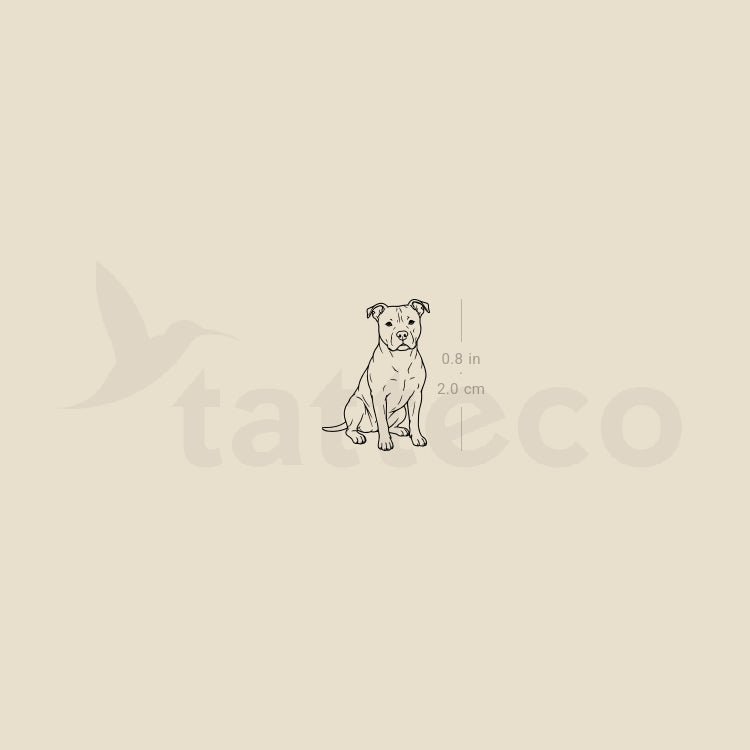 Little American Staffordshire Terrier Temporary Tattoo - Set of 3