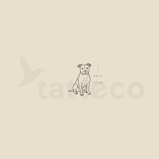 Little American Staffordshire Terrier Temporary Tattoo - Set of 3