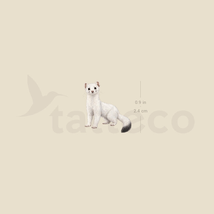 White Weasel Temporary Tattoo - Set of 3