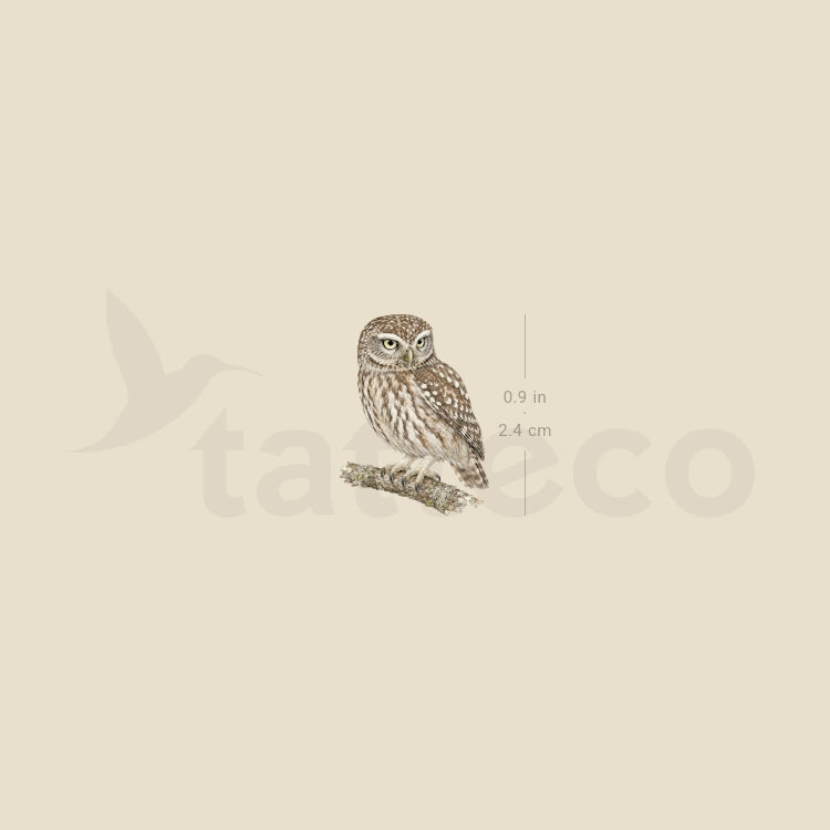 Little Owl Temporary Tattoo - Set of 3