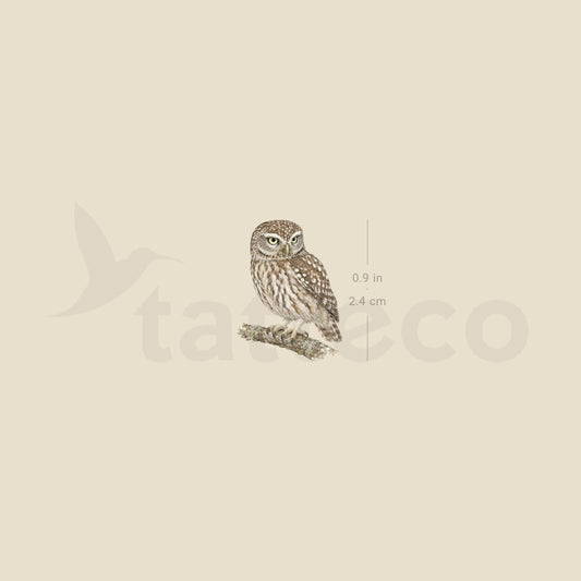 Little Owl Temporary Tattoo - Set of 3