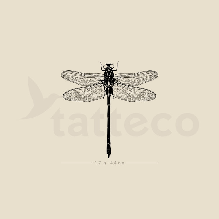 Tatuaje temporal ilustrativo de libélula - Juego de 3