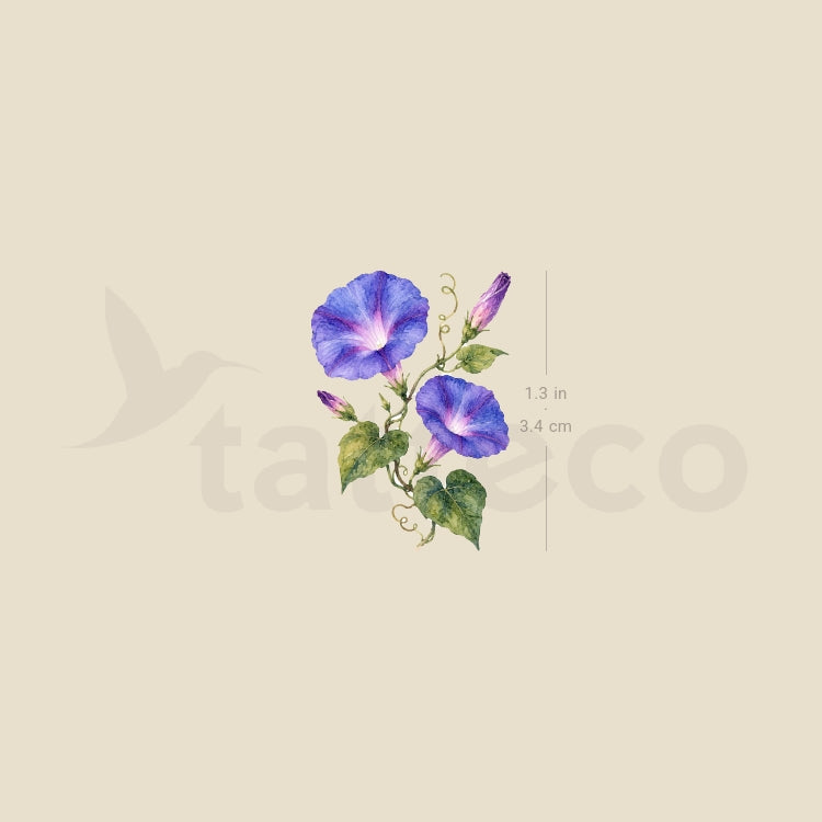 Morning Glory Temporary Tattoo - Set of 3