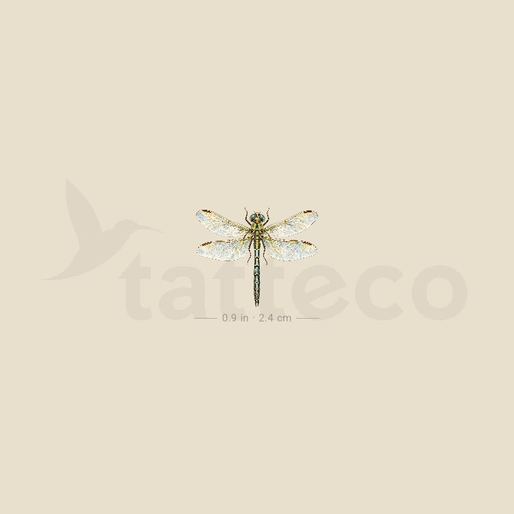 Watercolor Dragonfly Temporary Tattoo - Set of 3