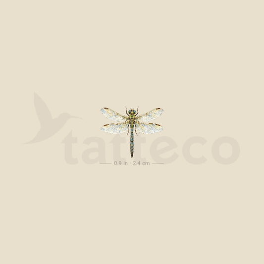 Watercolor Dragonfly Temporary Tattoo - Set of 3