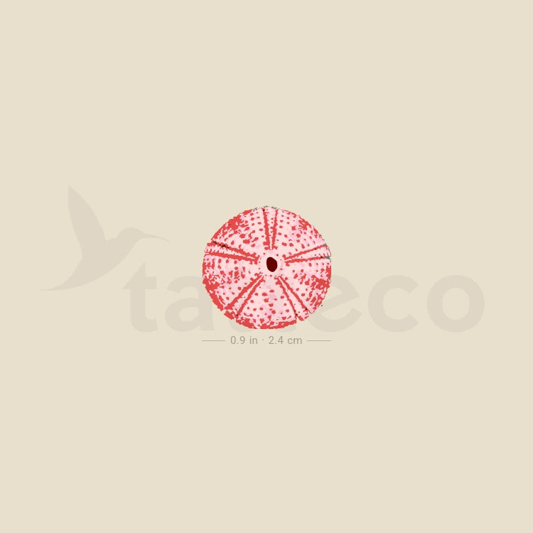 Red Sea Urchin Shell Temporary Tattoo - Set of 3