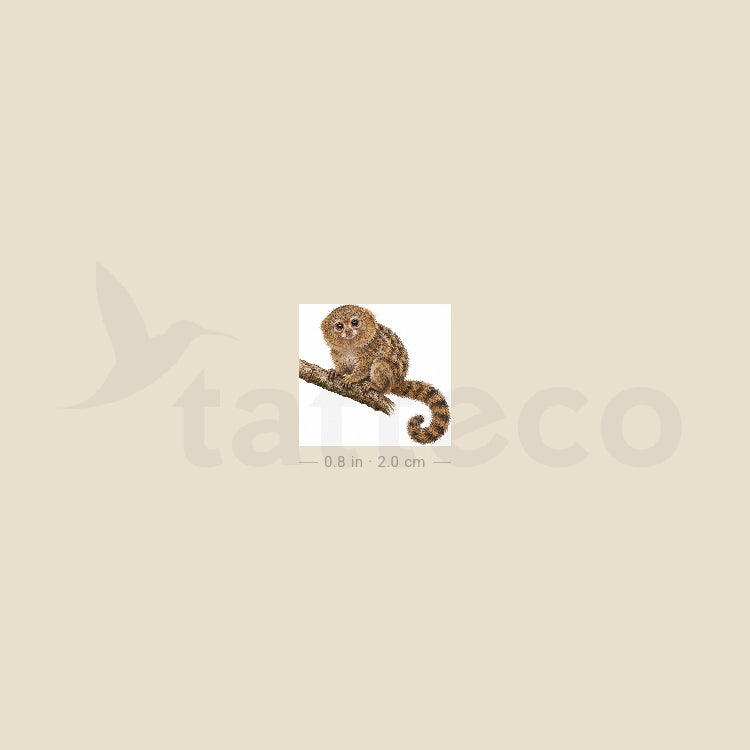 Pygmy Marmoset Temporary Tattoo - Set of 3