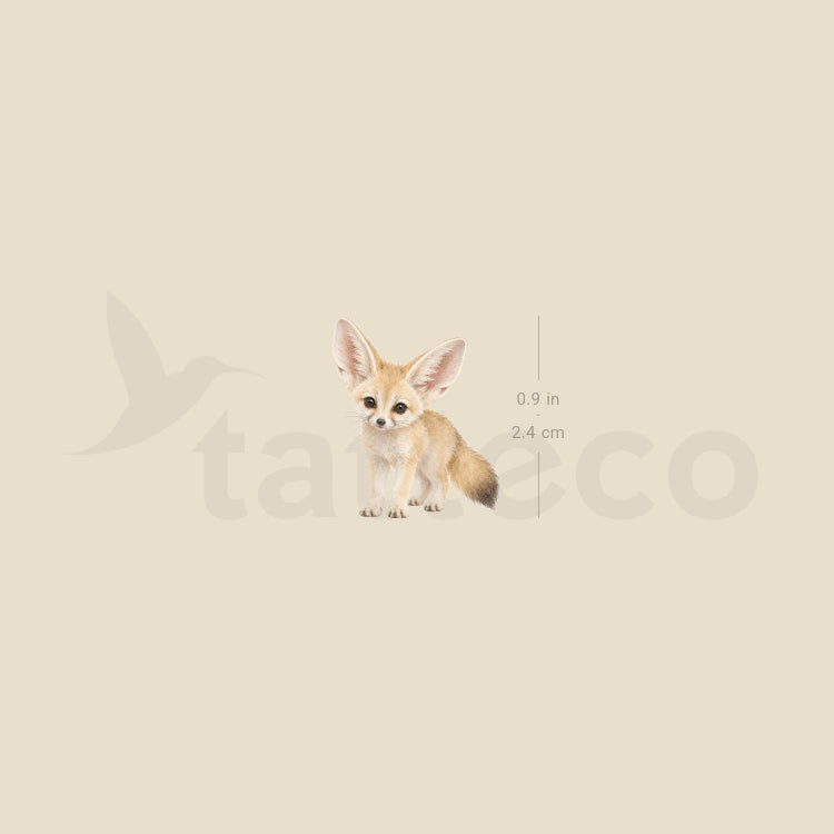 Baby Fennec Fox Temporary Tattoo - Set of 3