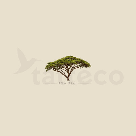 Acacia Temporary Tattoo - Set of 3