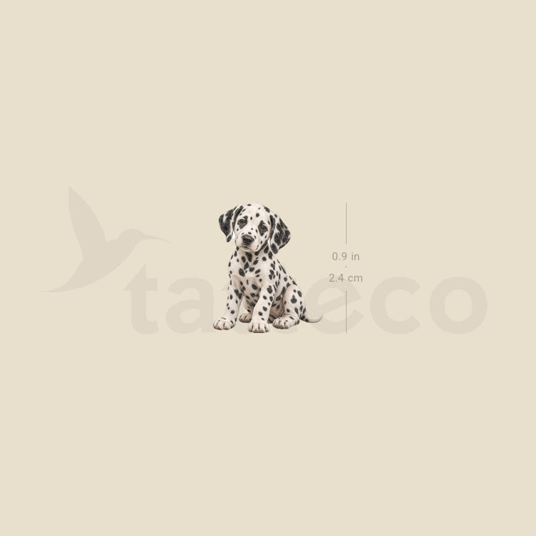 Dalmatian Puppy Temporary Tattoo - Set of 3