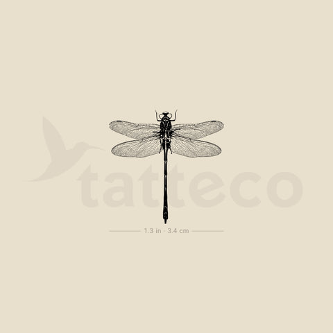 Small Illustrative Dragonfly Temporary Tattoo - Set of 3