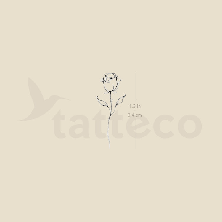 Rose By Stefano Mazza Temporary Tattoo - Set of 3
