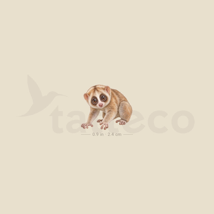 Baby Slow Loris Temporary Tattoo - Set of 3