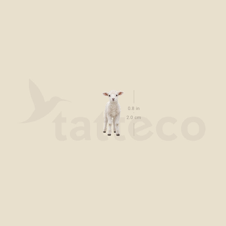 Baby Lamb Temporary Tattoo - Set of 3