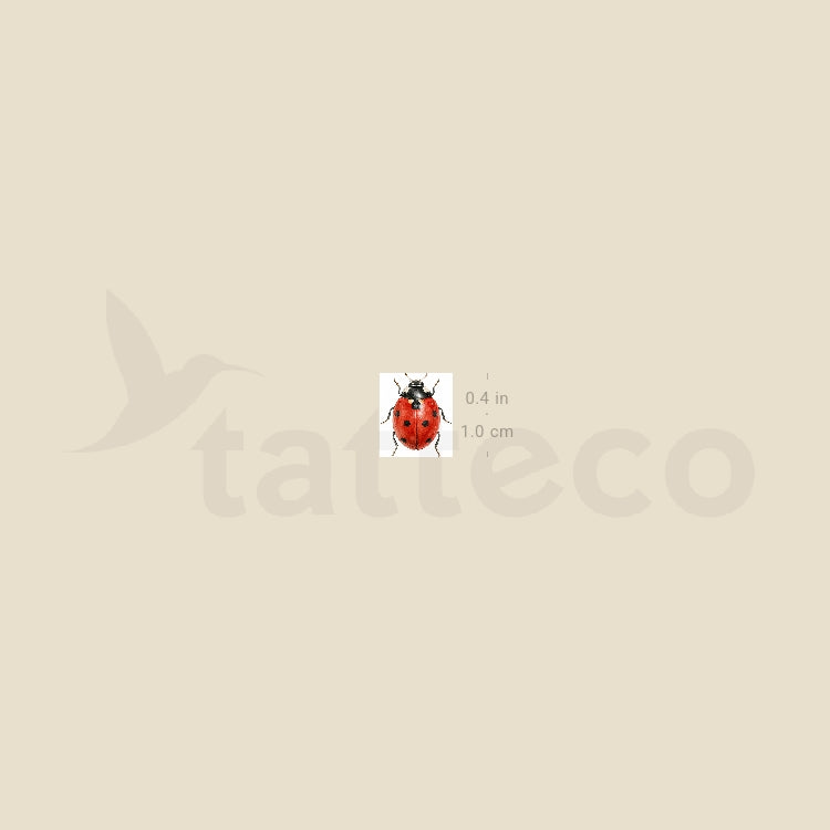 Watercolor Ladybug Temporary Tattoo - Set of 3