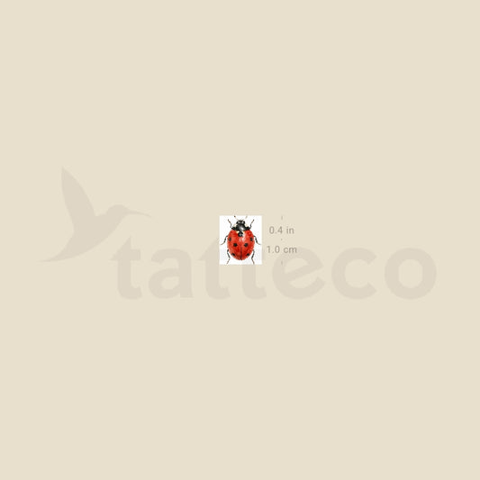 Watercolor Ladybug Temporary Tattoo - Set of 3