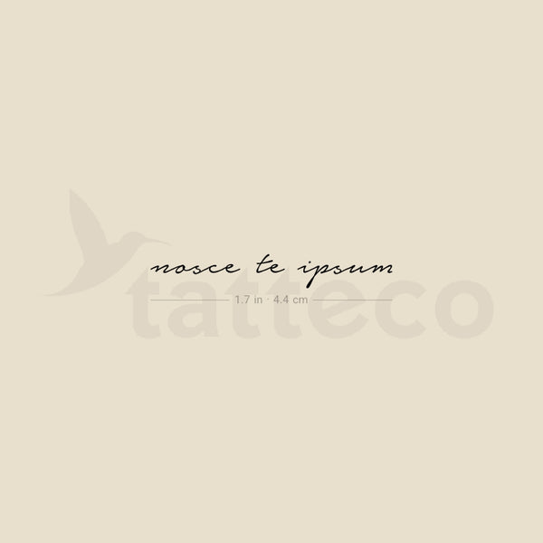 Nosce Te Ipsum Temporary Tattoo - Set of 3