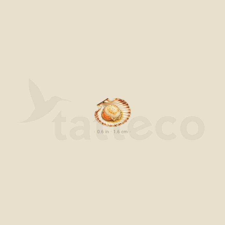 Watercolor Scallop Temporary Tattoo - Set of 3