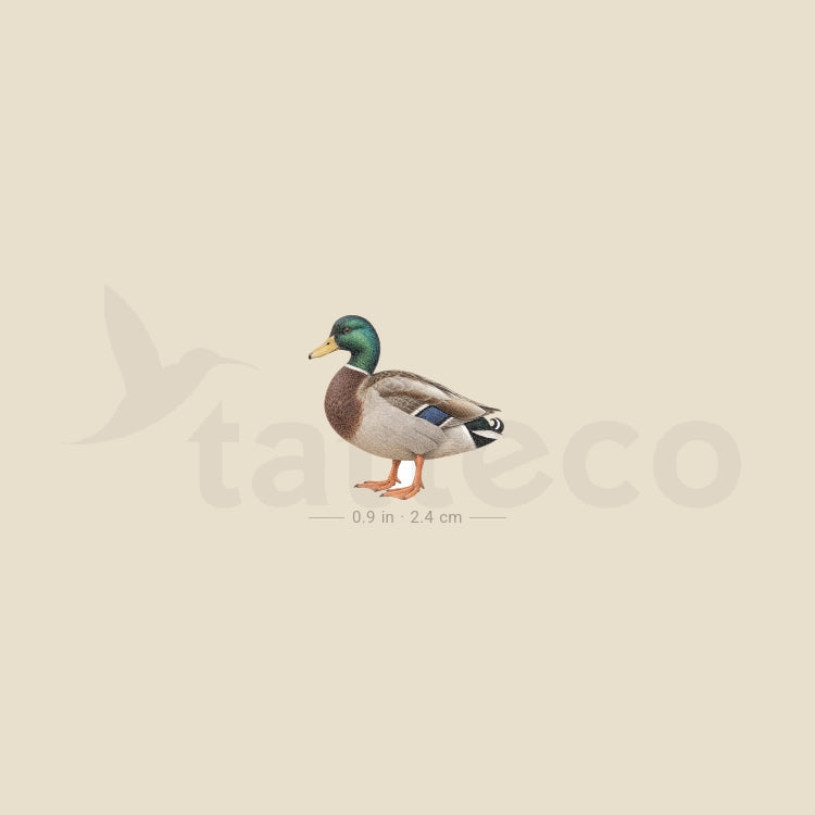 Mallard Temporary Tattoo - Set of 3