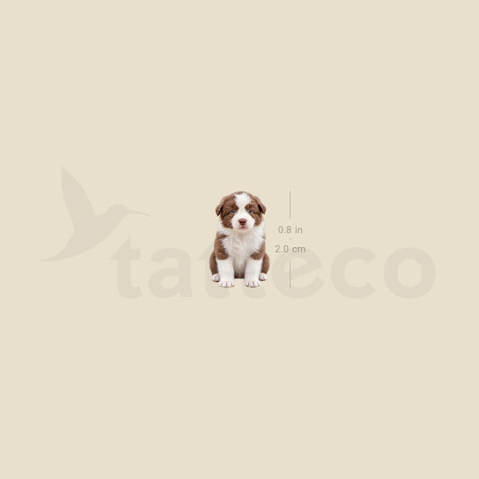 Chocolate Border Collie Puppy Temporary Tattoo - Set of 3