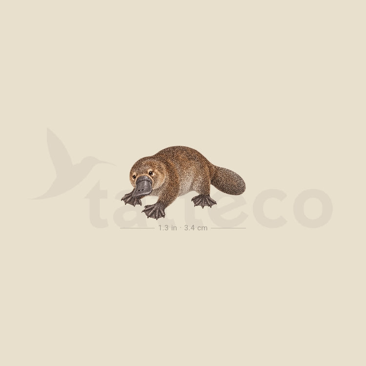 Platypus Temporary Tattoo - Set of 3