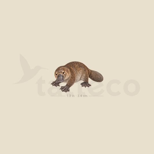Platypus Temporary Tattoo - Set of 3