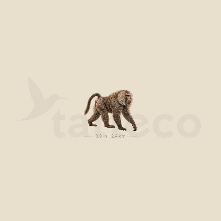 Baboon Temporary Tattoo - Set of 3