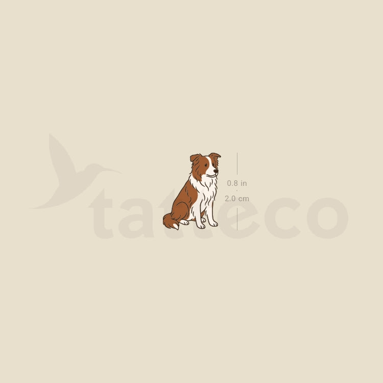 Chocolate Border Collie Temporary Tattoo - Set of 3