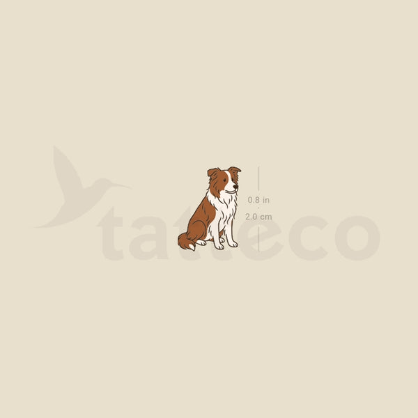 Chocolate Border Collie Temporary Tattoo - Set of 3