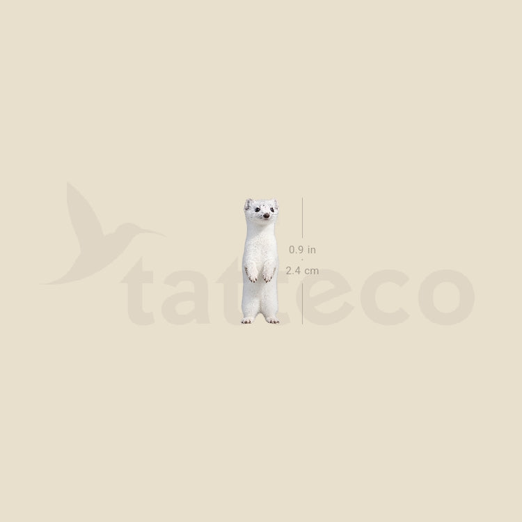 White Stoat Temporary Tattoo - Set of 3