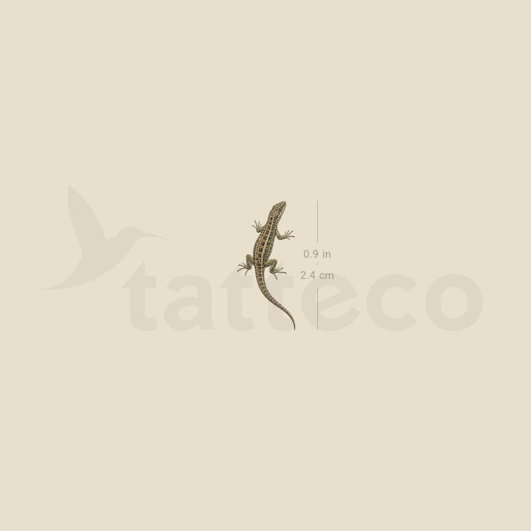 Lizard Temporary Tattoo - Set of 3