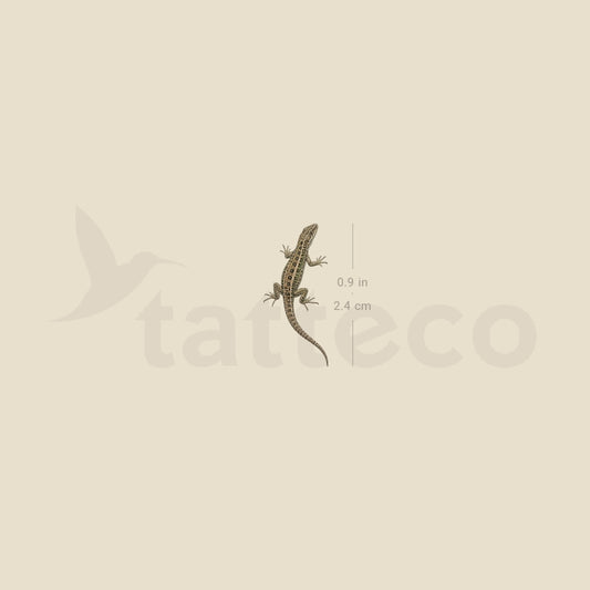 Lizard Temporary Tattoo - Set of 3