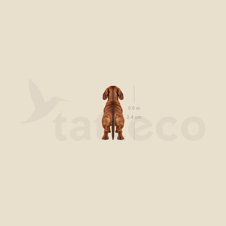 Dachshund Back View Temporary Tattoo - Set of 3