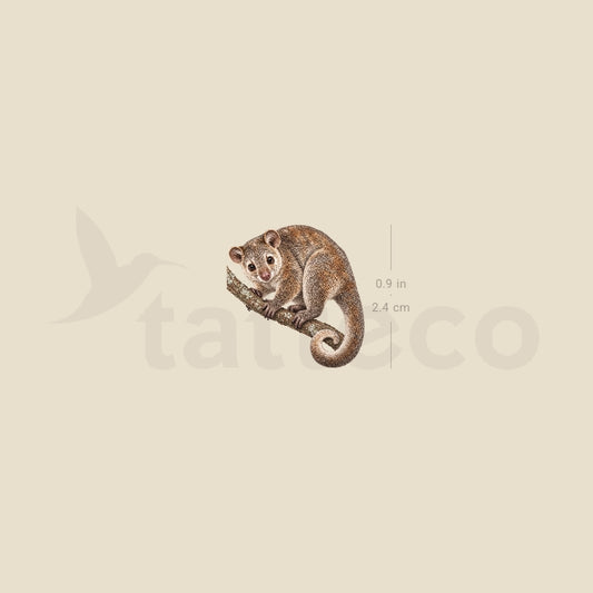 Cuscus Temporary Tattoo - Set of 3