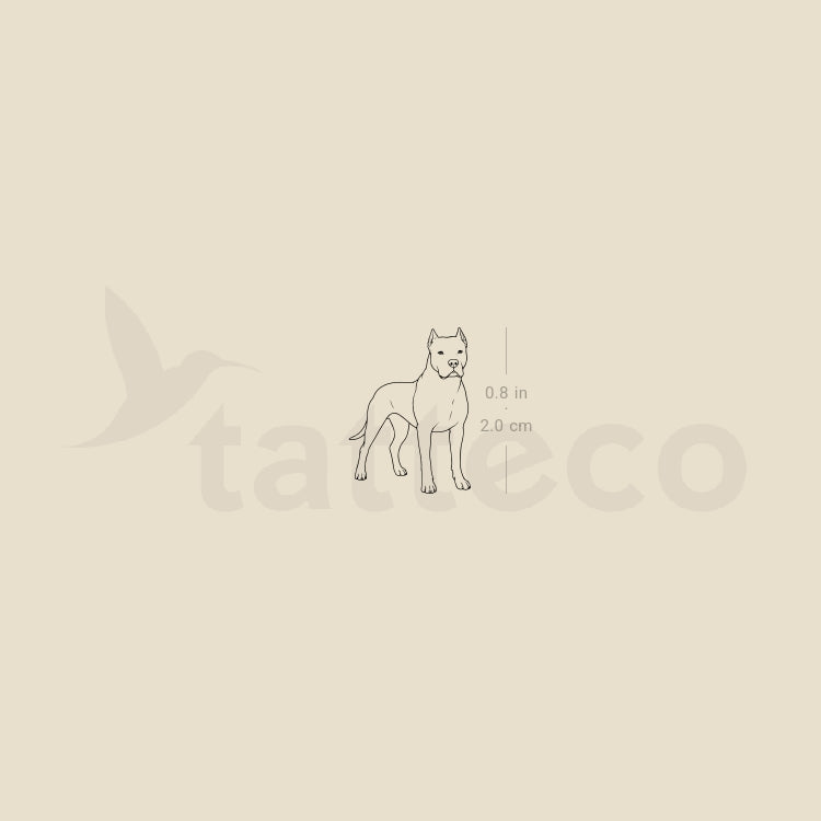 Dogo Argentino Temporary Tattoo - Set of 3