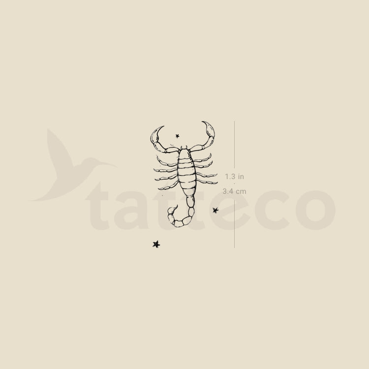 Scorpion By Stefano Mazza Temporary Tattoo - Set of 3
