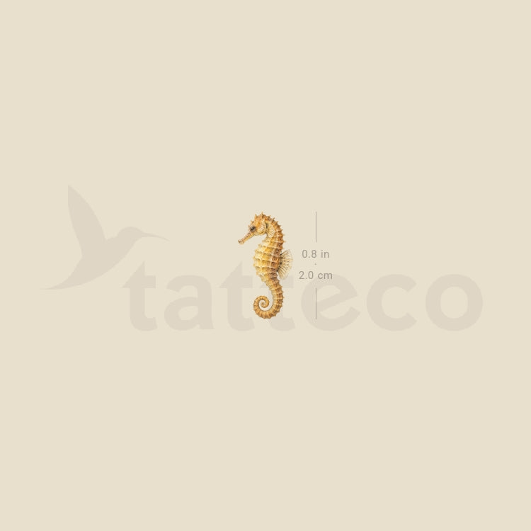 Watercolor Seahorse Temporary Tattoo - Set of 3